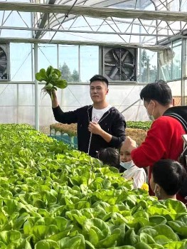 農場將於11月19日在開平赤坎鎮舉行稻田舞蹈節，對外開放。