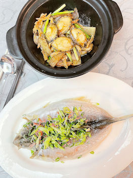 薑葱蝦乾鮑魚煲（上）香氣十足，鮑魚爽口入味。雞油鹹肉蒸海馬友（下）充滿鹹鮮味，佐酒一流。