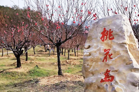 桃花島位於國家5A景區的肇慶七星岩內。