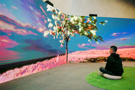 《樗樹之用》模擬未來中一個虛擬叢林，透過與觀眾的互動，呈現不同物種在大自然和平共處的景象，觀眾的一舉一動會影響各種植物的生命周期。