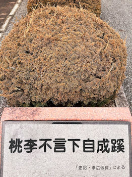 其中一個廠訓來自西漢的司馬遷《史記．李將軍列傳》。