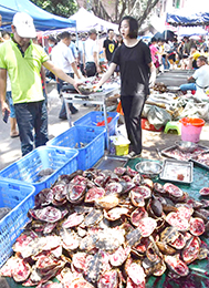 龜在墟市也受歡迎