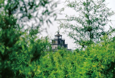 掩影在綠竹叢中的馬降龍碉樓。