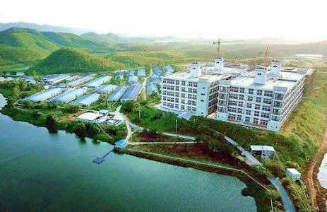 五層高大廈不是工業廠房，而是新型豬舍。