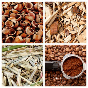 生態鉛筆以堅果殼、木和竹屑、咖啡渣製成筆桿。