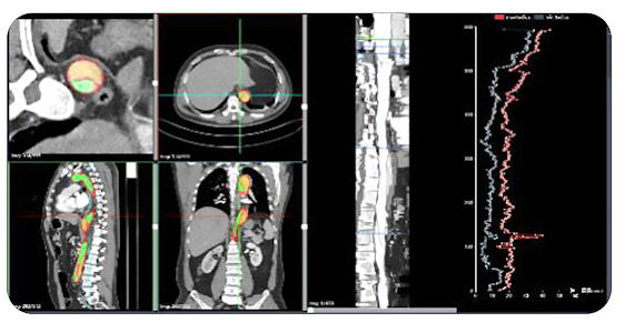 人工智能在診斷醫療狀況方面與醫生一樣可靠。