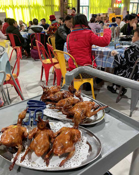 每枱食客都點燒乳鴿。