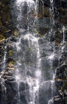 在大自然環境下，空氣中的負離子含量特別高。