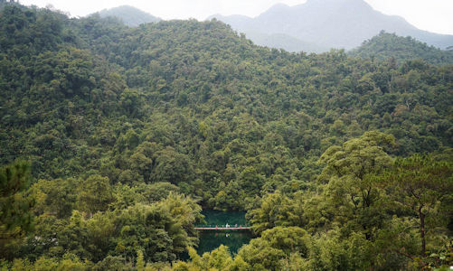鼎湖山由10多座山峰組成，因遠望如鼎，山上有湖，故稱為鼎湖山。