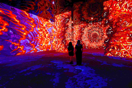 光影展創作團隊人員涵蓋數碼技術、光影展覽、影視及音樂等領域，製作出不少衝擊視覺的畫面。