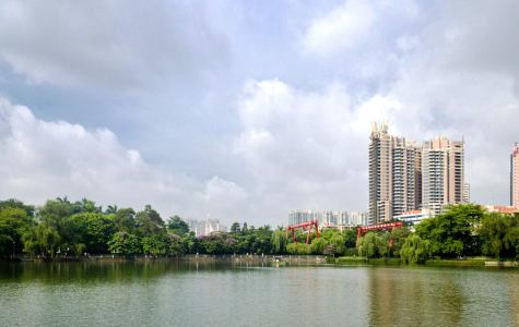 東山湖小微濕地位於廣州越秀區東山湖公園南部湖灣。